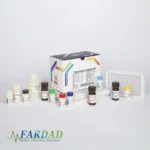 کیت الایزا T4